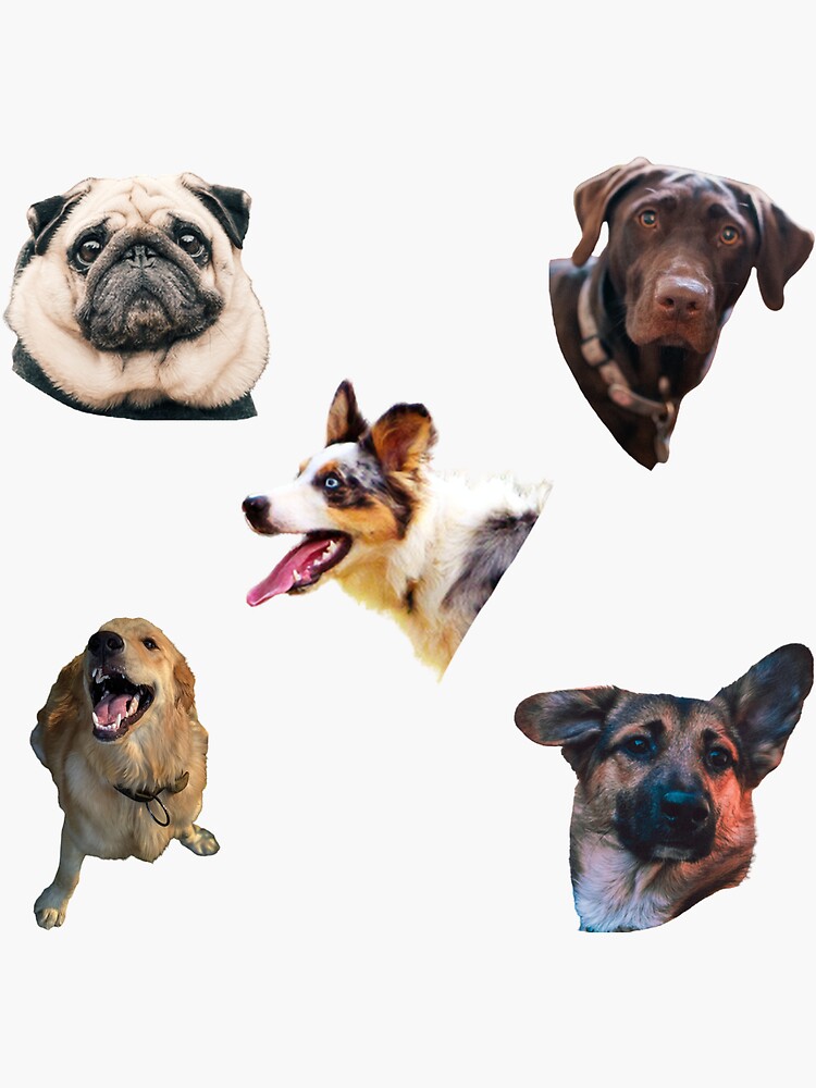 "Dog sticker pack" Sticker for Sale by EevanArt Redbubble