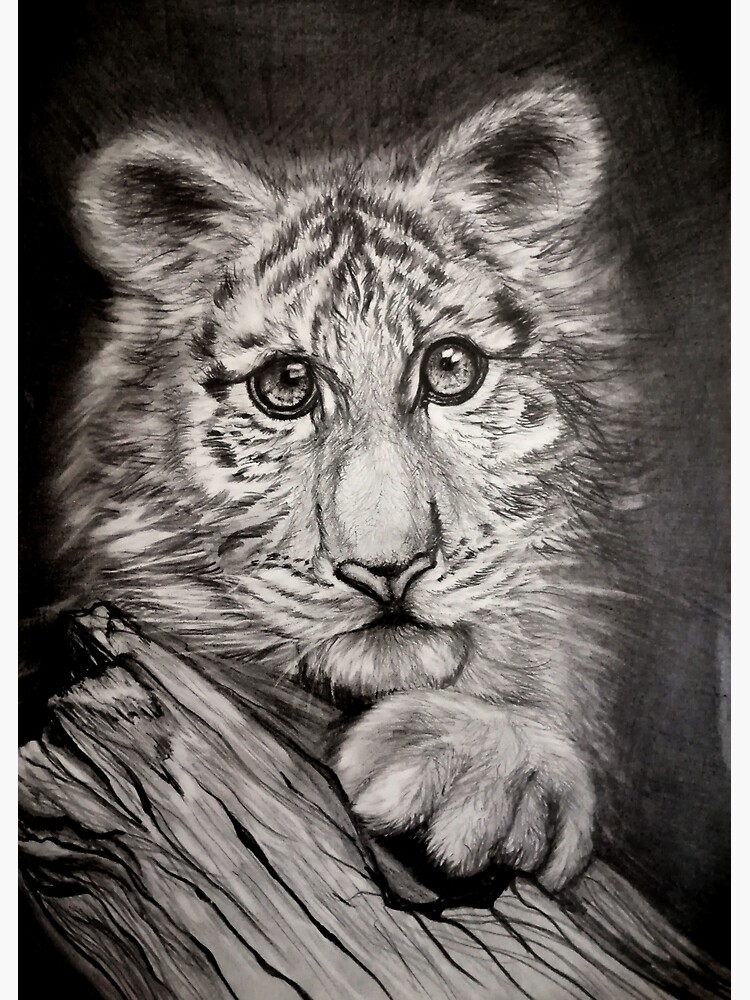 "Black and white illustration in the eyes of the tiger" Poster by