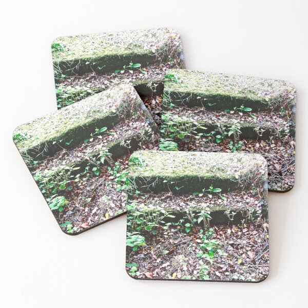 Item preview, Leaf covered stone steps designed and sold by Shulie1.