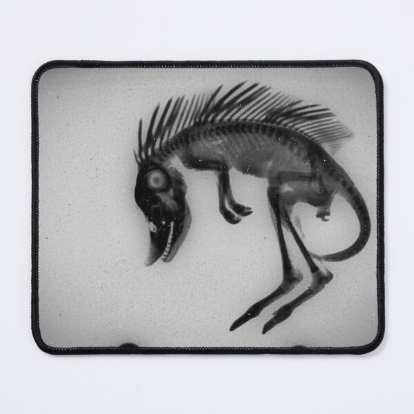 Item preview, Cryptozoological x-ray 2 B&W variant 2 designed and sold by John Chadwick.
