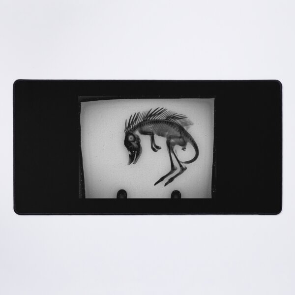 Item preview, Cryptozoological x-ray 2 B&W variant 2 designed and sold by John Chadwick.