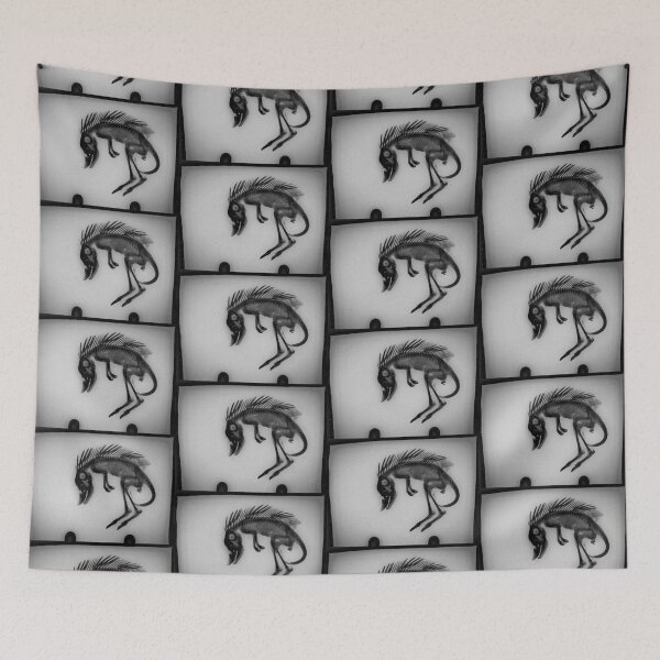 Item preview, Cryptozoological x-ray 2 B&W variant 2 designed and sold by John Chadwick.