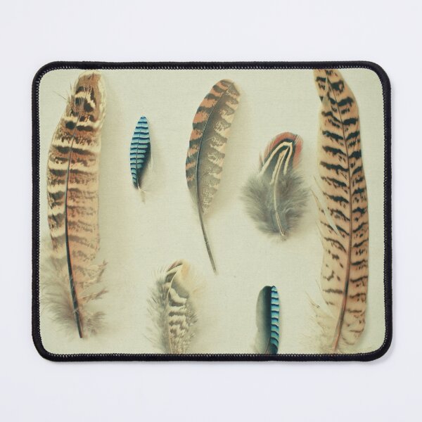 Item preview, The Feather Collection designed and sold by Cassia Beck.