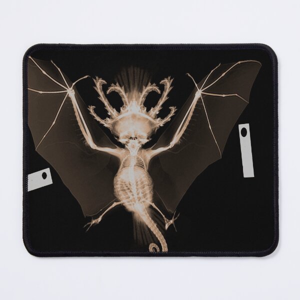 Item preview, Cryptozoological X-ray 3 designed and sold by John Chadwick.