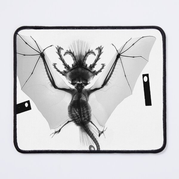 Item preview, Cryptozoological X-ray 3 B&W variant 2 designed and sold by John Chadwick.
