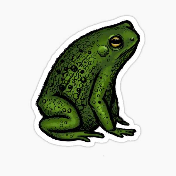 Frog Sticker