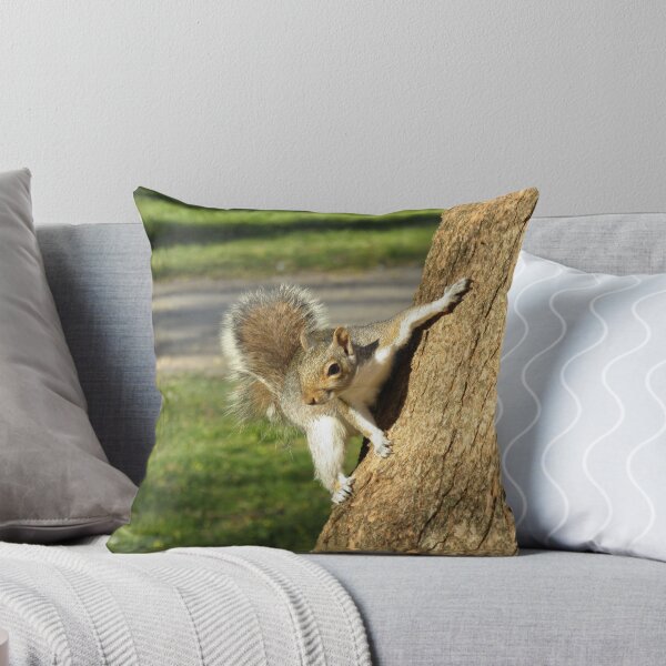 Item preview, Grey squirrel. designed and sold by joshuarainbird.