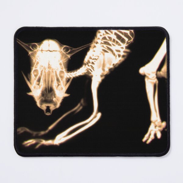 Item preview, Cryptozoological X-ray 4 designed and sold by John Chadwick.
