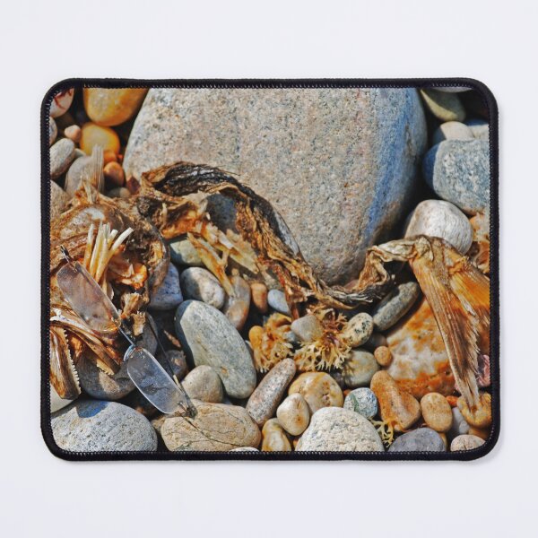 Item preview, Dried fish with glasses  designed and sold by Michael Brewer.