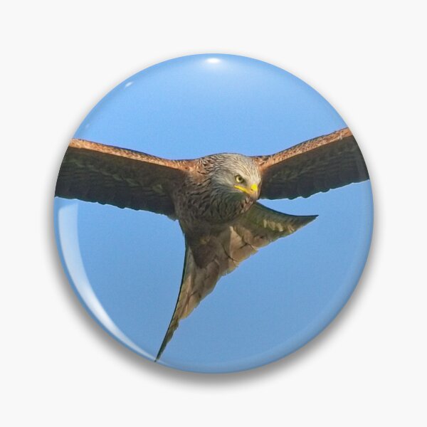 Item preview, Northamptonshire Red Kite Ave de rapiña designed and sold by Martyn R Arnold Fine Art Nature & Landscape Photography.