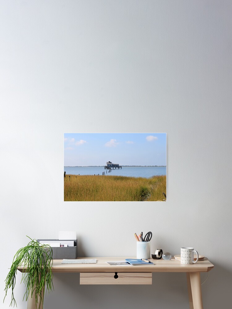 Thumbnail 2 of 3, Poster, Tom's Cove from Bivalve Trail designed and sold by WhiteCatPhoto.