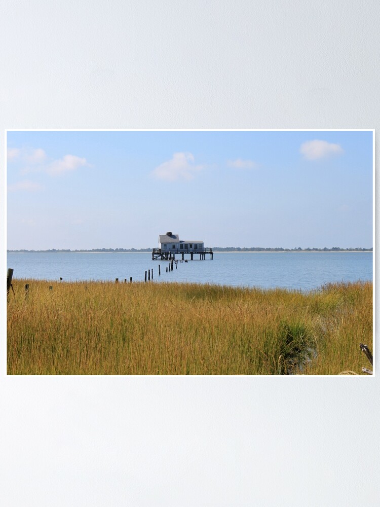 Thumbnail 1 of 3, Poster, Tom's Cove from Bivalve Trail designed and sold by WhiteCatPhoto.