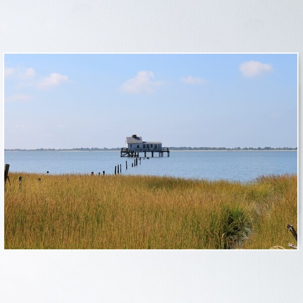 Item preview, Tom's Cove from Bivalve Trail designed and sold by WhiteCatPhoto.
