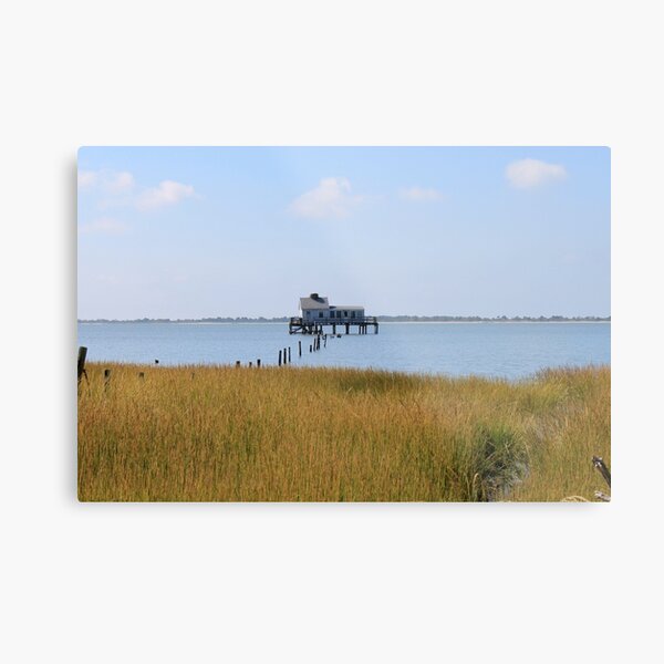 Item preview, Tom's Cove from Bivalve Trail designed and sold by WhiteCatPhoto.