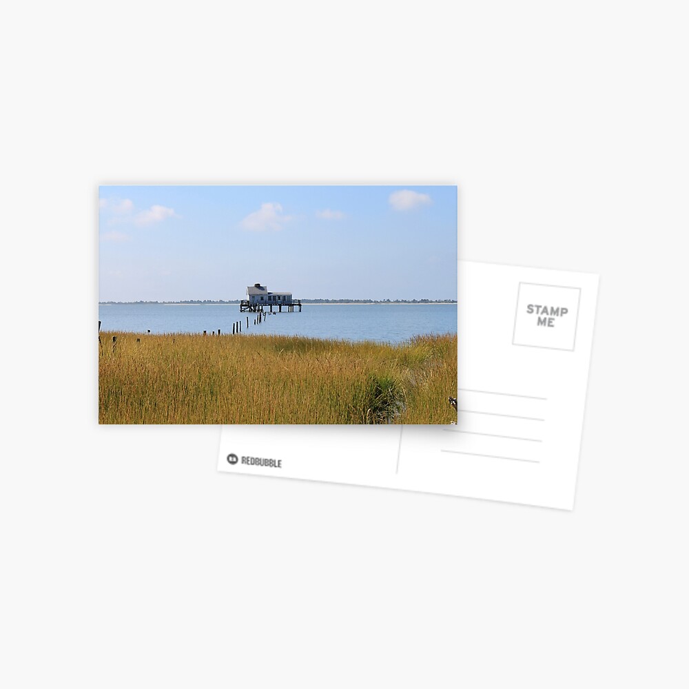 Item preview, Postcard designed and sold by WhiteCatPhoto.