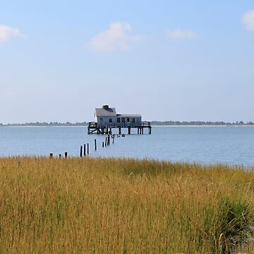 Artwork thumbnail, Tom's Cove from Bivalve Trail by WhiteCatPhoto