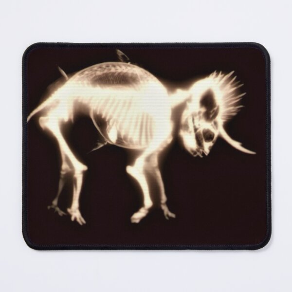 Item preview, Cryptozoological X-ray 5 designed and sold by John Chadwick.