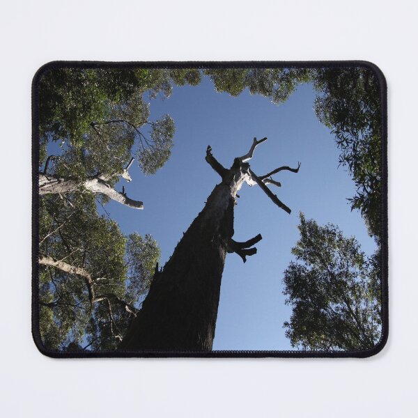 Item preview, Dramatic Lone Tree in Forest Mouse Pad designed and sold by deanworld.