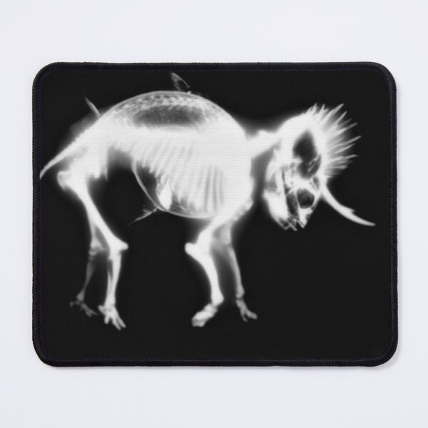 Item preview, Cryptozoological X-ray B&W designed and sold by John Chadwick.