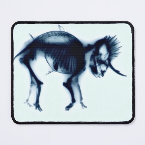 Item preview, Cryptozoological X-ray variant designed and sold by John Chadwick.