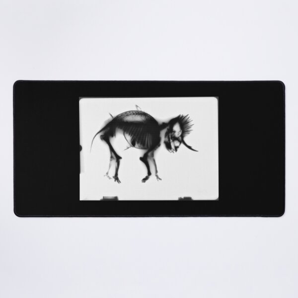 Item preview, Cryptozoological X-ray B&W variant designed and sold by John Chadwick.
