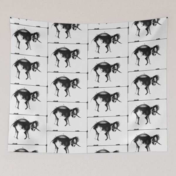 Item preview, Cryptozoological X-ray B&W variant designed and sold by John Chadwick.