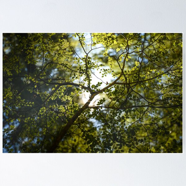 Item preview, Leaves designed and sold by Niels Koervers.