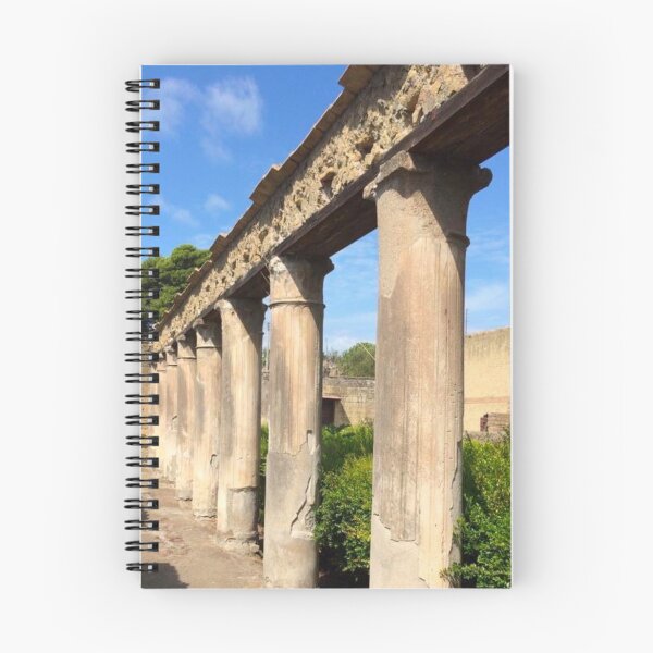 Item preview, Herculaneum (1) designed and sold by CncptulCaptures.