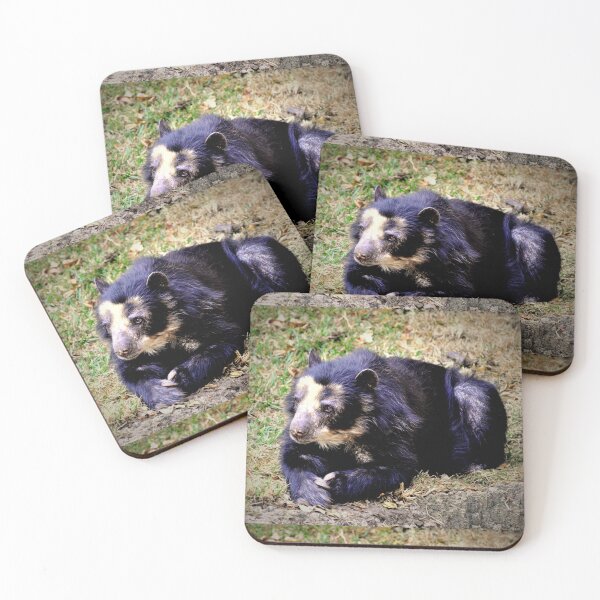 Item preview, ANDEAN BEAR designed and sold by Savannah Gibbs.