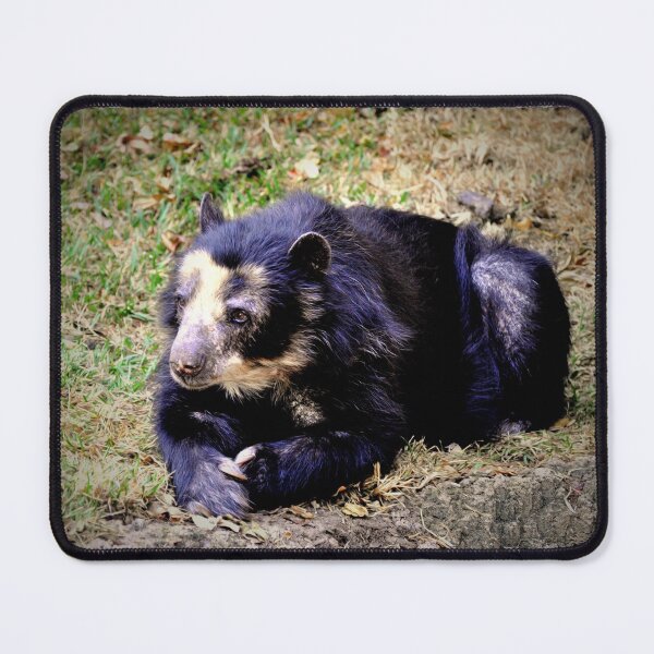 Item preview, ANDEAN BEAR designed and sold by Savannah Gibbs.