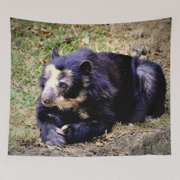 Item preview, ANDEAN BEAR designed and sold by Savannah Gibbs.
