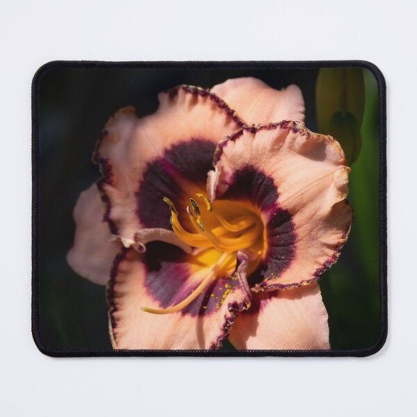 Item preview, Lily designed and sold by Cathy Donohoue.