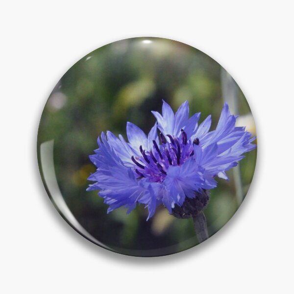 Item preview, Cornflower designed and sold by Chris Monks.