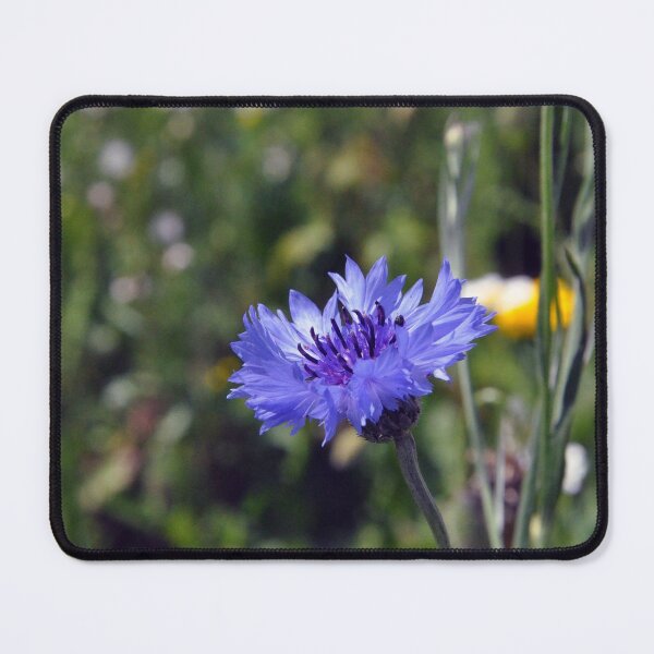 Item preview, Cornflower designed and sold by Chris Monks.