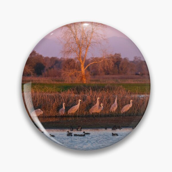 Item preview, Sandhill Cranes at Sunrise designed and sold by Laurel Eby.