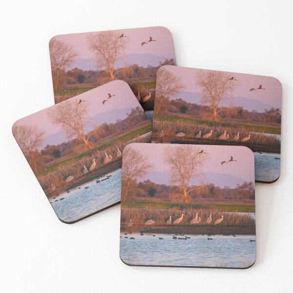 Item preview, Sandhill Cranes at Sunrise designed and sold by Laurel Eby.