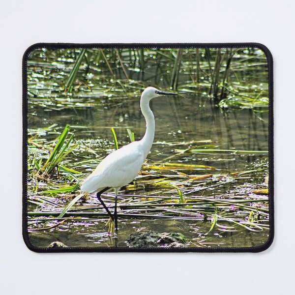 Item preview, White Great Egret Wading River 2 designed and sold by worldways.
