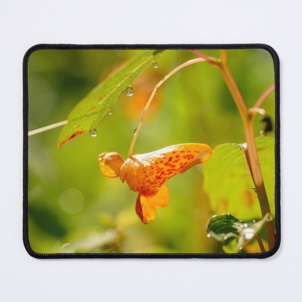 Item preview, Jewelweed Flower designed and sold by HectorCantres.
