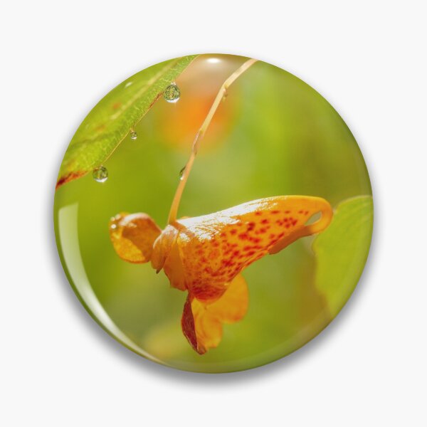 Item preview, Jewelweed Flower designed and sold by HectorCantres.