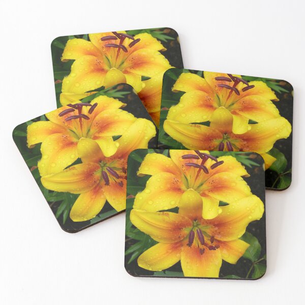 Item preview, Golden Lilies .. In The Rain, photograph designed and sold by LoneAngel.