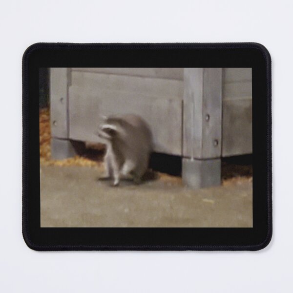 Item preview, Trash raccoon designed and sold by Katonion.