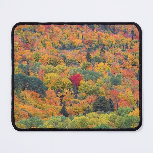 Item preview, Fall Colors in the Upper Peninsula designed and sold by EzrasTrinkets.