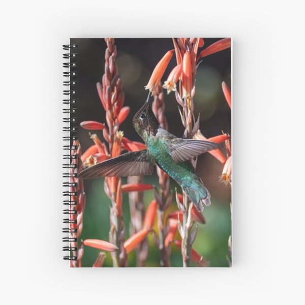 Item preview, Anna's Hummingbird and Aloe 'Blue Elf' designed and sold by Laurel Eby.