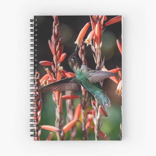 Item preview, Anna's Hummingbird and Aloe 'Blue Elf' designed and sold by Laurel Eby.