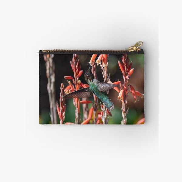 Item preview, Anna's Hummingbird and Aloe 'Blue Elf' designed and sold by Laurel Eby.