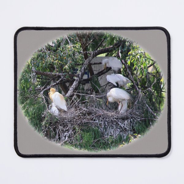 Item preview, Egrets with Chicks designed and sold by STHogan.