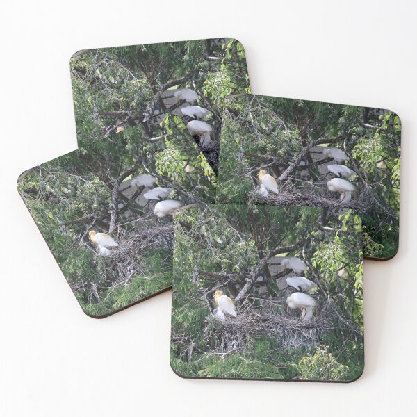 Item preview, Egrets with Chicks designed and sold by STHogan.