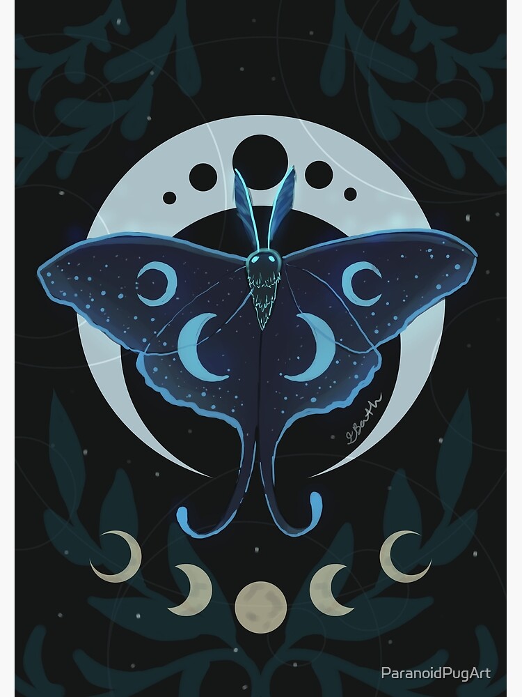 Luna Moth | Poster