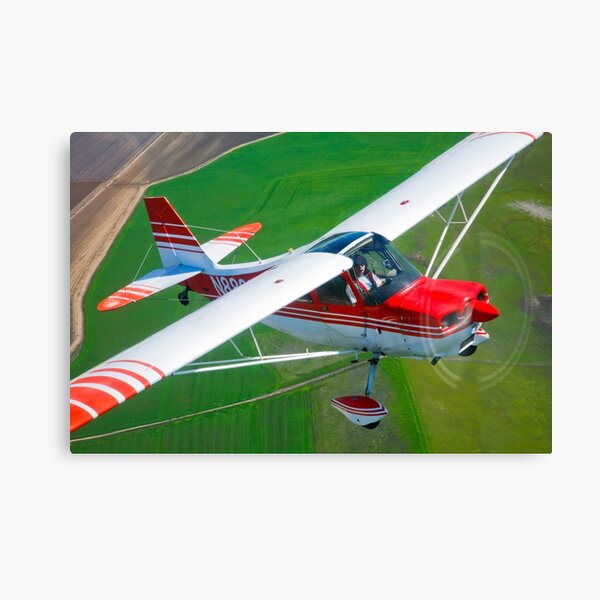 SGR100077M-Champion Aircraft Citabria