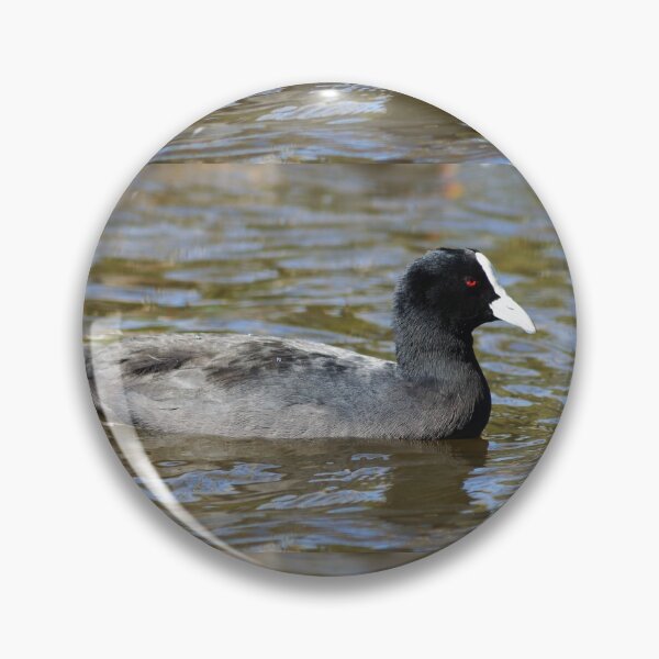 Item preview, Eurasian Coot or Australian Coot designed and sold by Dragonsfield.